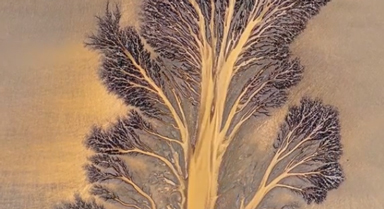 大自然的杰作！錢(qián)塘江又現(xiàn)“潮汐樹(shù)”